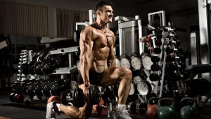 10 Quick Tips For Building Muscle and Fitness