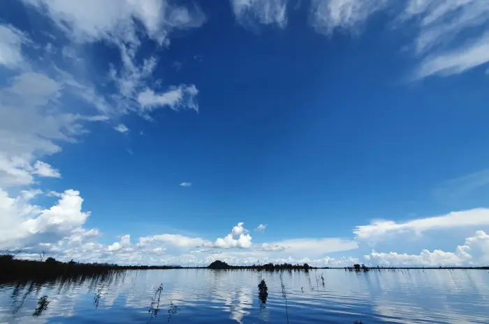 Sentarum Lake, an Exotic Lake with Unique Flora and Fauna in Kapuas Hulu