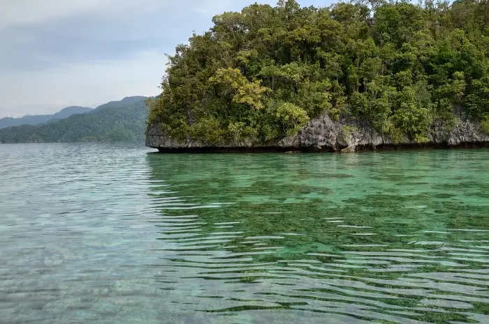 Sombori Island, Get to Know the Miniature of Raja Ampat in Morowali